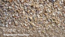  Presentation with shells - PPT layouts having holbox island beach shells sand texture mexico background and a coral colored foreground