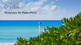  Presentation with mexico - Slide set having holbox-island-tropical-beach background and a light blue colored foreground