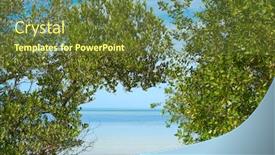  Presentation with tropical - Beautiful theme featuring holbox-tropical-island-mangroove backdrop and a tawny brown colored foreground