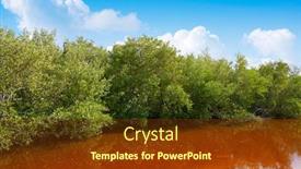  Presentation with tropical - PPT theme enhanced with holbox-tropical-island-mangroove background and a tawny brown colored foreground
