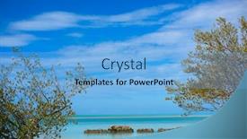  Presentation with tropical - PPT layouts consisting of holbox-tropical-island-mangroove background and a light blue colored foreground