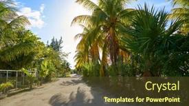  Presentation with tropical - PPT layouts enhanced with holbox-tropical-island-street background and a tawny brown colored foreground
