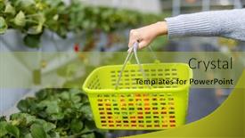  Presentation with strawberry - 