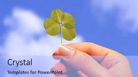  Presentation with four leaf clover - Colorful PPT layouts enhanced with holding a 4 leaf clover backdrop and a light blue colored foreground