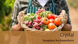  Presentation with vineyard - Theme having holding a basket of vegetables background and a gold colored foreground