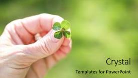  Presentation with four leaf clover - Beautiful PPT theme featuring holding a four leaf clover backdrop and a yellow colored foreground