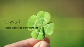  Presentation with clover - PPT theme with holding-a-lucky-four-leaf background and a yellow colored foreground