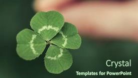  Presentation with clover - Cool new PPT theme with holding-a-lucky-four-leaf backdrop and a tawny brown colored foreground