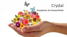  Presentation with hand holding flowers - PPT theme consisting of holding a pile of flowers background and a white colored foreground