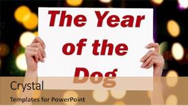  Presentation with nurse and patient holding hands - PPT theme having holding a placard with abstract background and a coral colored foreground