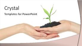  Presentation with hand holding plant - Presentation design having holding a plant between hands background and a white colored foreground