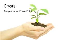  Presentation with hand holding plant - Beautiful PPT theme featuring holding a plant between hands backdrop and a white colored foreground