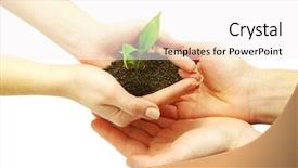  Presentation with hand holding plant - PPT theme consisting of holding a plant between hands background and a white colored foreground