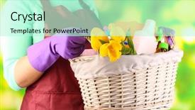  Presentation with equipment - Beautiful slide deck featuring holding basket with cleaning equipment backdrop and a soft green colored foreground