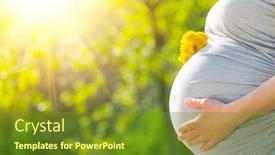  Presentation with pregnant woman - Amazing PPT layouts having holding bunch of dandelions sun backdrop and a tawny brown colored foreground