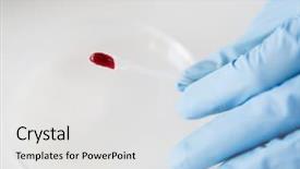 Presentation with science blood - Amazing slide deck having holding cotton swab with blood backdrop and a white colored foreground