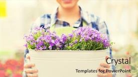  Presentation with people grief and mourning concept - Cool new PPT theme with holding flowers in big pot backdrop and a soft green colored foreground