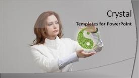  Presentation with young plant - Colorful slide deck enhanced with holding green plant ying yang backdrop and a  colored foreground