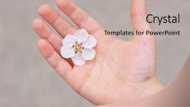  Presentation with child care - PPT theme having holding hands recognition - flower in a child palm background and a mint green colored foreground