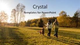  Presentation with walk - Presentation theme having holding hands walk retriever dog background and a light blue colored foreground