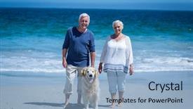  Presentation with hands holding - Amazing PPT layouts having holding hands walking the dog backdrop and a light blue colored foreground