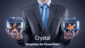  Presentation with career - Slides consisting of animal career - businessman holding in both hands background and a wine colored foreground