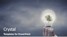  Presentation with light bulb - Theme with holding light bulb with tree background and a gray colored foreground