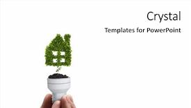  Presentation with light bulb - Colorful PPT layouts enhanced with holding light bulb with tree backdrop and a white colored foreground