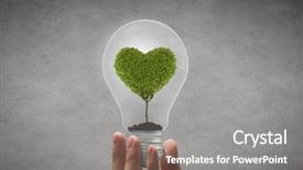  Presentation with light bulb - PPT theme having holding light bulb with tree background and a gray colored foreground