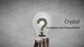  Presentation with light bulb - Audience pleasing slides consisting of holding light bulb with tree backdrop and a light gray colored foreground