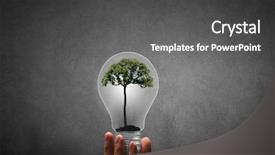  Presentation with light bulb - Presentation theme consisting of holding light bulb with tree background and a dark gray colored foreground