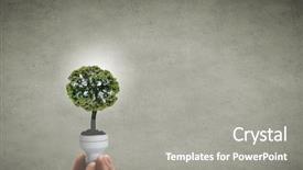  Presentation with hand holding colorful brain sketch - Beautiful theme featuring holding light bulb with tree backdrop and a gray colored foreground