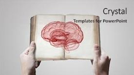  Presentation with human brain - Beautiful PPT theme featuring portrait of a beautiful brunette girl with short hair a woman is walking around the city and drinking coffee coffee to go backdrop and a gray colored foreground.