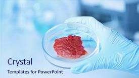  Presentation with petri dish - Slides having holding petri dish with meat background and a sky blue colored foreground