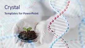  Presentation with plant structure - Presentation theme consisting of science biology ecology research background and a sky blue colored foreground