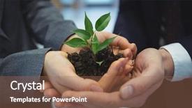  Presentation with hand holding plant - Audience pleasing presentation theme consisting of holding plant together in corridor backdrop and a coral colored foreground
