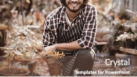  Presentation with plant apical meristem - PPT theme consisting of holding potted plant while kneeling background and a  colored foreground