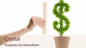  Presentation with money tree - PPT theme having holding ruler and measuring money background and a lemonade colored foreground