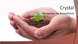  Presentation with seedling - Beautiful PPT theme featuring holding seedling in new life backdrop and a  colored foreground
