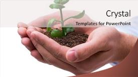  Presentation with seedling - Slide deck enhanced with holding seedling in new life background and a lemonade colored foreground