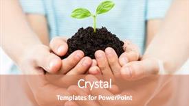  Presentation with plant growth - PPT layouts enhanced with holding small green plant sprout background and a coral colored foreground