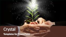  Presentation with money tree - Presentation theme consisting of holding sprout of money tree background and a tawny brown colored foreground