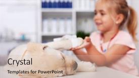  Presentation with paw - Slides consisting of holding the paw of injured background and a soft green colored foreground