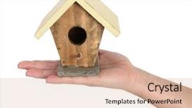  Presentation with birds - Slides with hand is holding wooden house background and a coral colored foreground