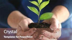  Presentation with holding hands - Colorful slide deck enhanced with holding young tree in hand backdrop and a tawny brown colored foreground