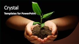  Presentation with plant growth - Presentation theme with holdings a little green plant background and a black colored foreground