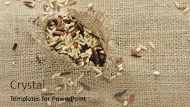  Presentation with rice hybridization - PPT theme enhanced with religious christmas - many burning candles with shallow background and a wine colored foreground