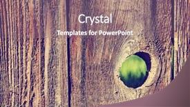  Presentation with nail - Audience pleasing theme consisting of hole in a wooden picket backdrop and a violet colored foreground