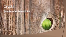  Presentation with nail - Theme with hole in a wooden picket background and a coral colored foreground