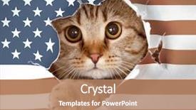  Presentation with usa flag - PPT theme featuring hole in paper usa flag background and a coral colored foreground